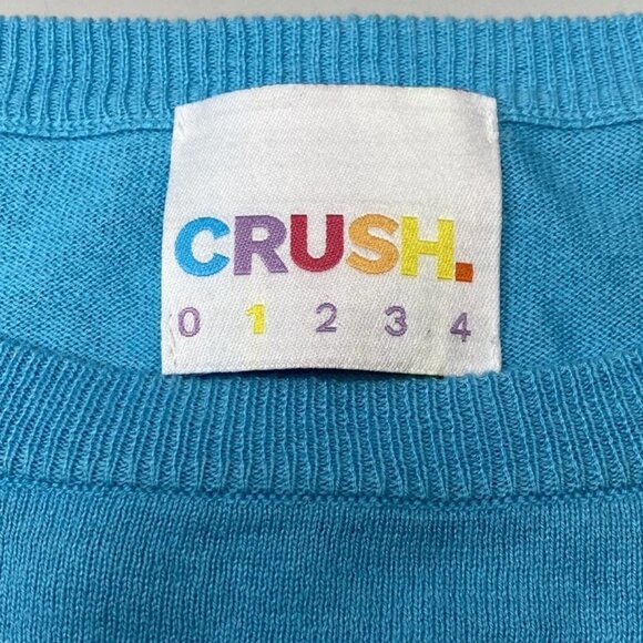 NEW CRUSH  Cashmere Blend Pullover Sweater Size 4 – Diamond Blue Round Neck n - Picture 5 of 5